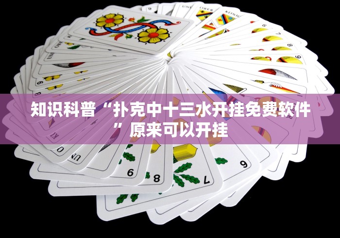 知识科普“扑克中十三水开挂免费软件”原来可以开挂 知识科普“扑克中十三水开挂免费软件”原来可以开挂