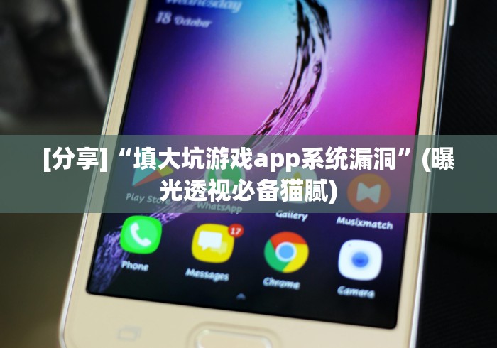 [分享]“填大坑游戏app系统漏洞”(曝光透视必备猫腻)