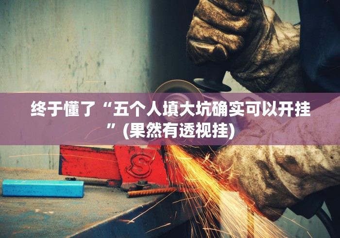 终于懂了“五个人填大坑确实可以开挂”(果然有透视挂) 终于懂了“五个人填大坑确实可以开挂”(果然有透视挂)